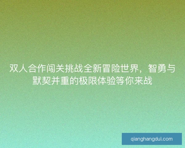 双人合作闯关挑战全新冒险世界，智勇与默契并重的极限体验等你来战